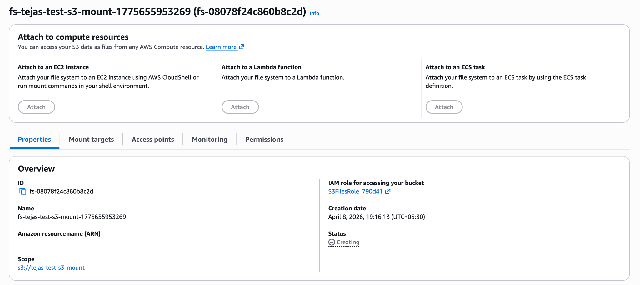 S3 Files file system details showing file system ID
