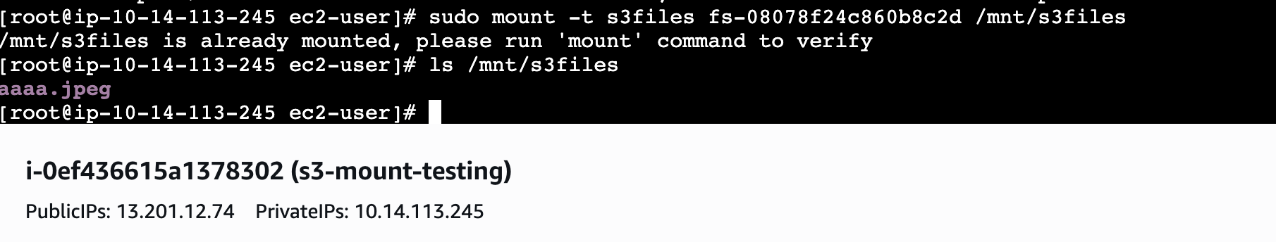 Successful mount in terminal via EC2 Instance Connect